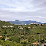 فيلة Julieta