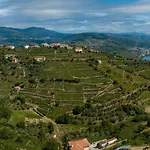 Julieta