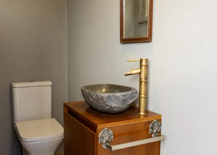 Julieta Ferreiros de Avoes