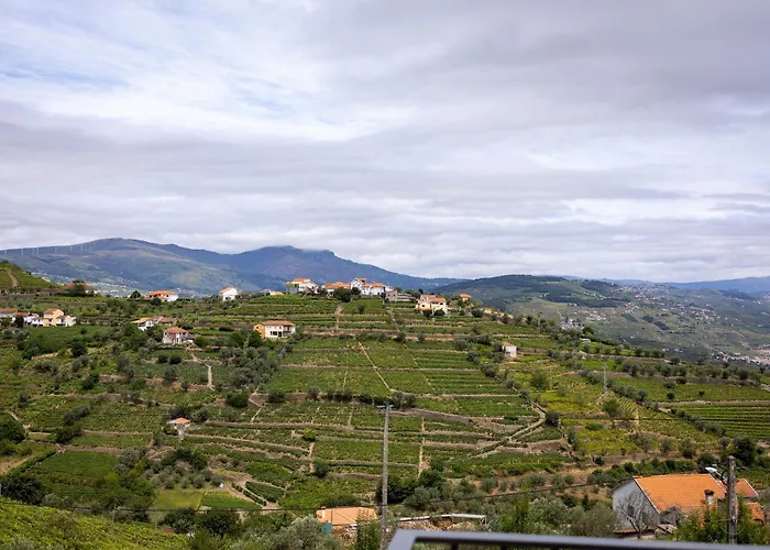 Julieta Ferreiros de Avoes