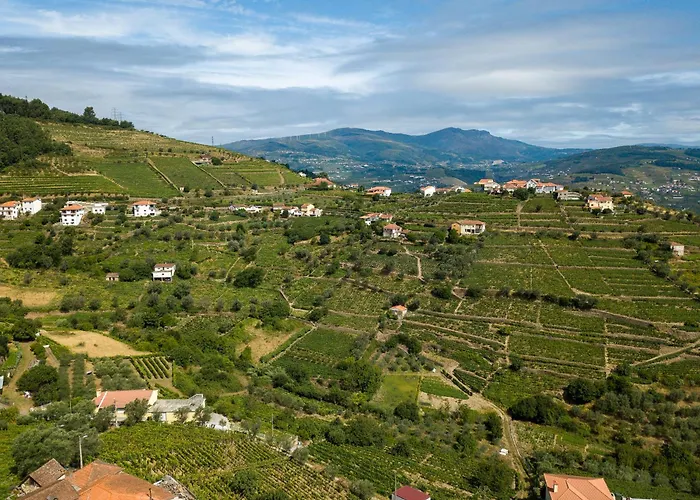 Julieta Ferreiros de Avoes